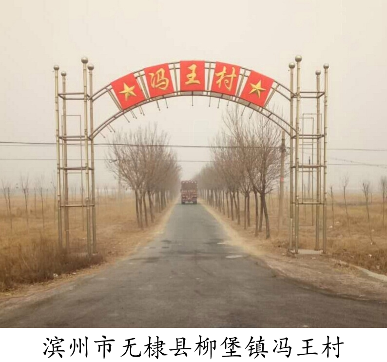 无棣县柳堡镇冯王村